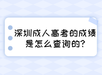 深圳成人高考的成績是怎么查詢的?