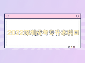 2022深圳成考專升本科目