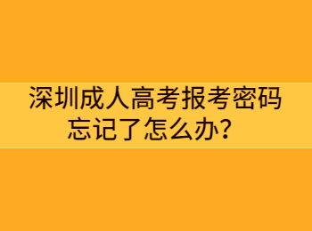深圳成人高考報考密碼忘記了怎么辦？